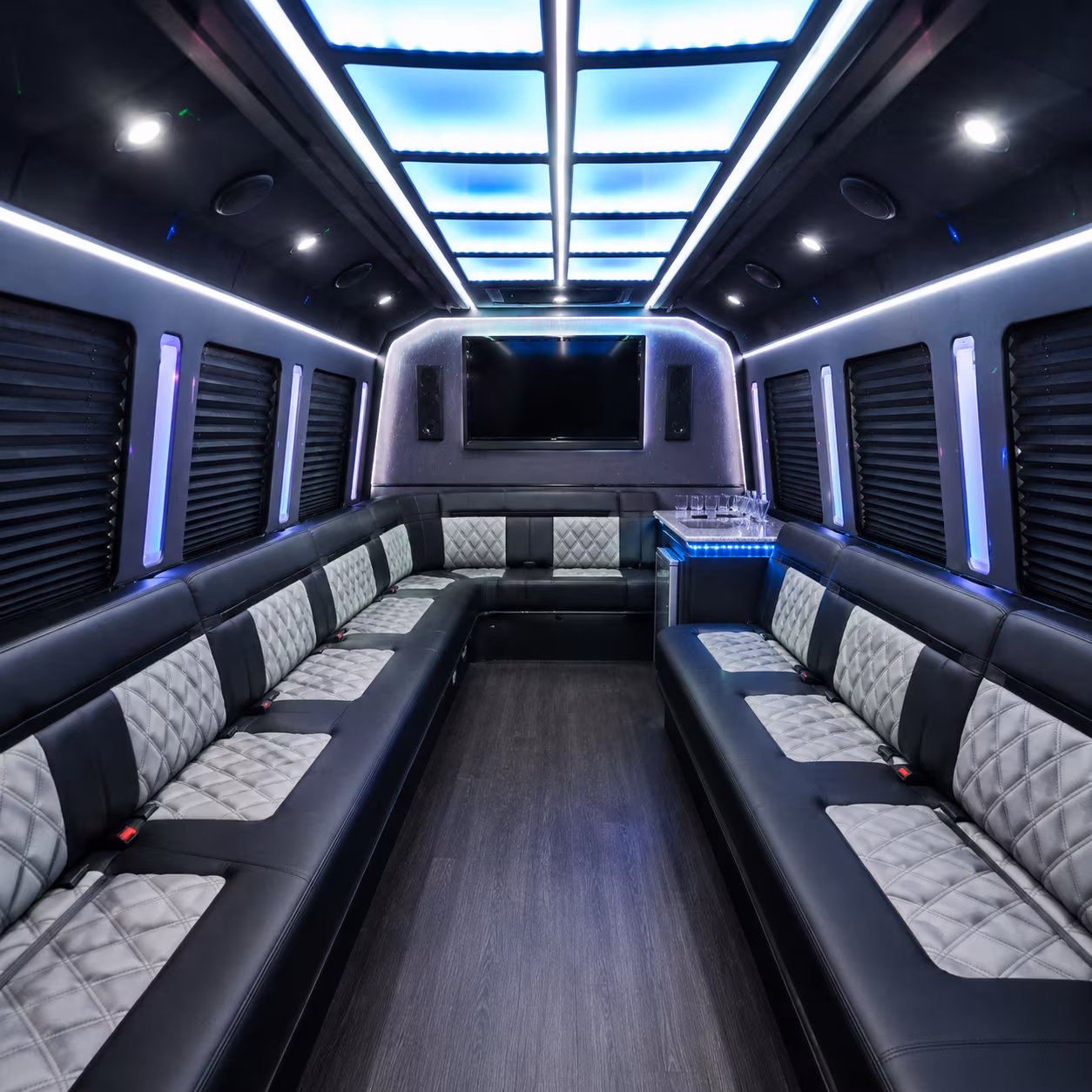18 Passenger Party Bus Interior