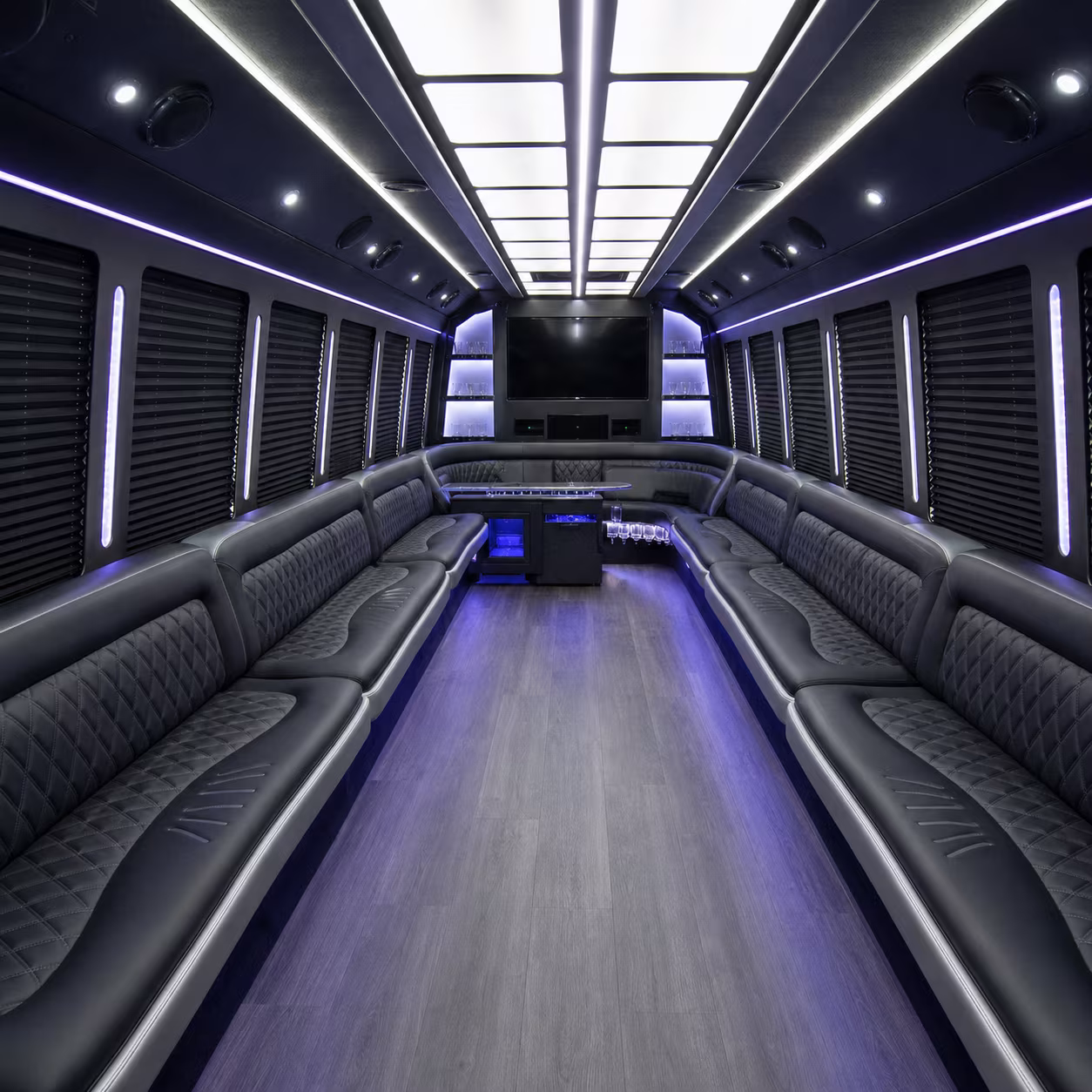 25 Passenger Party Bus Interior