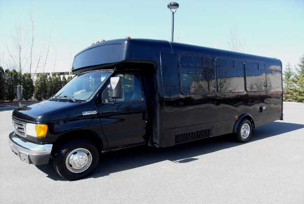 15 passenger party buses